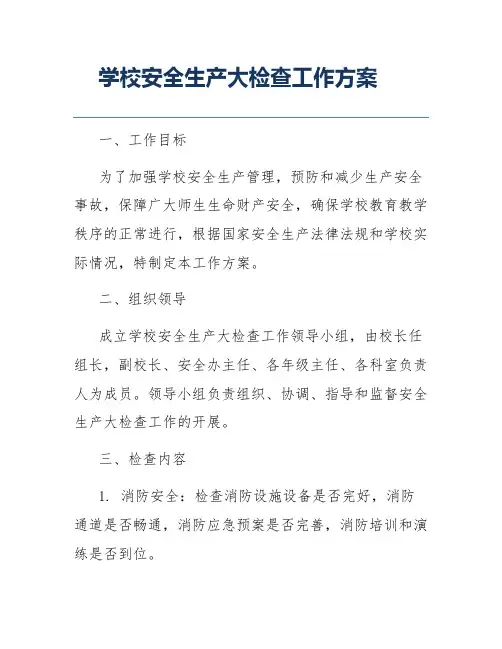 学校安全生产大检查工作方案