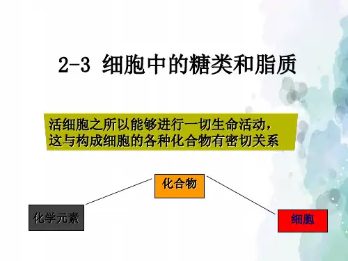 细胞中的糖类和脂质人教版高中生物必修一PPT课件