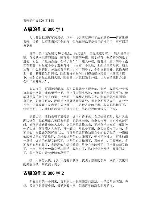 古镇的作文800字3篇