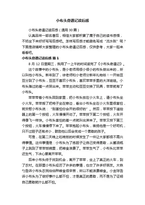 小布头奇遇记读后感