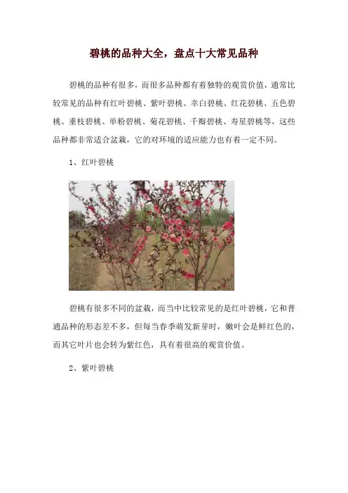 碧桃的品种大全,盘点十大常见品种