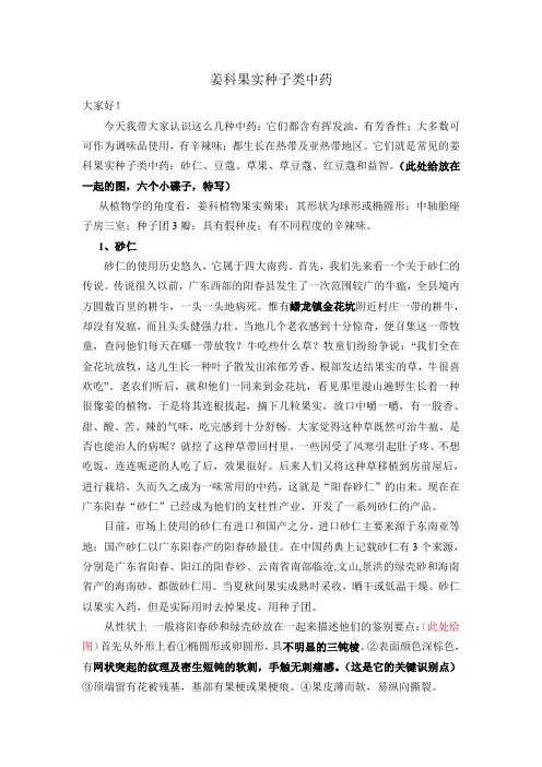 姜科果实种子类中药