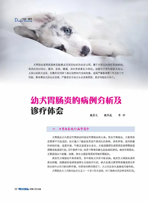 幼犬胃肠炎的病例分析及诊疗体会