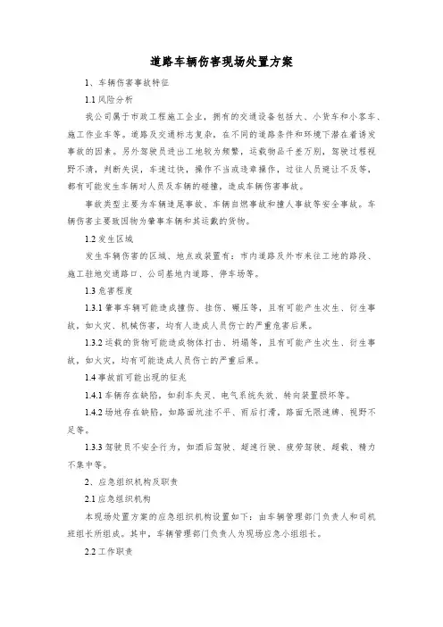 道路车辆伤害现场处置方案