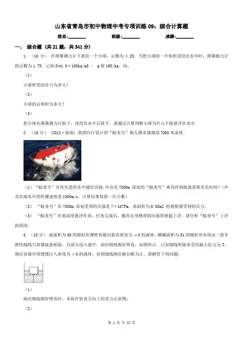 山东省青岛市初中物理中考专项训练09：综合计算题