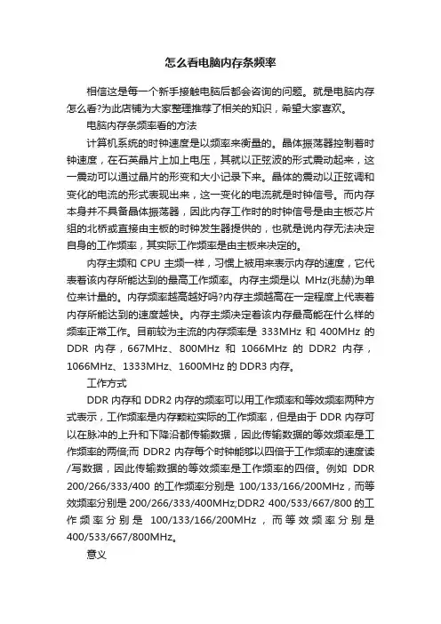 怎么看电脑内存条频率