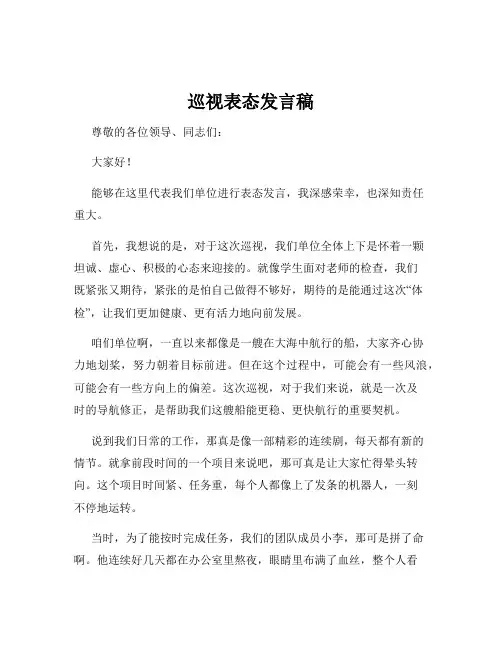 巡视表态发言稿