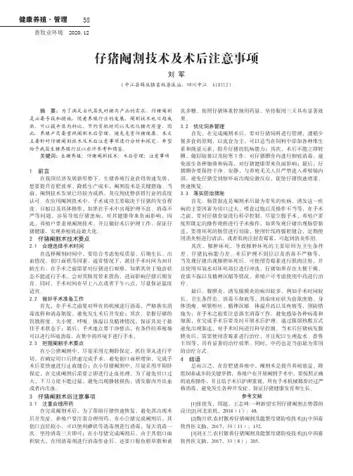 仔猪阉割技术及术后注意事项