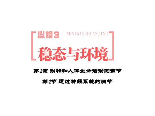 人教版生物必修三2.1《通过神经系统调节》课件(共42张PPT)