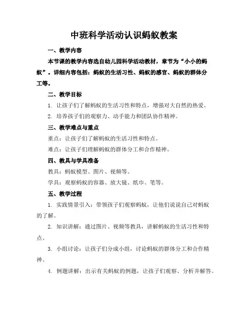 中班科学活动认识蚂蚁教案