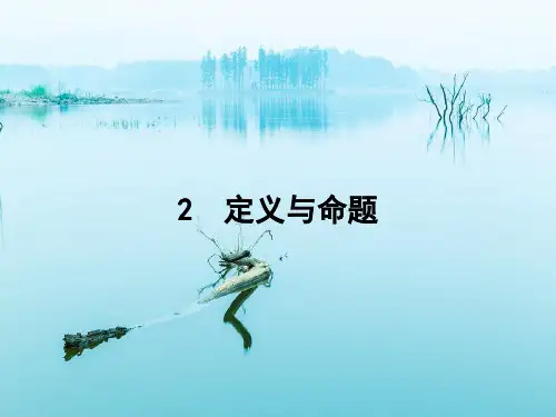 定义与命题PPT教学课件