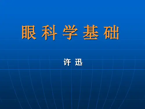 眼科解剖生理