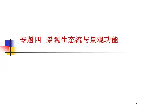 景观生态学——专题五ppt课件