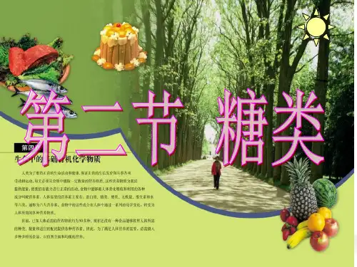 人教版高中化学选修5 第四章第二节 糖类  课件(共23张PPT)