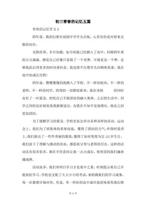 初三青春的记忆五篇