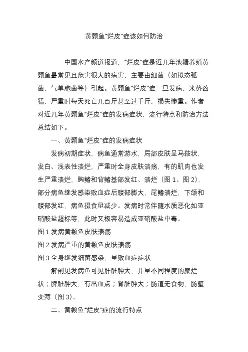 黄颡鱼“烂皮”症该如何防治
