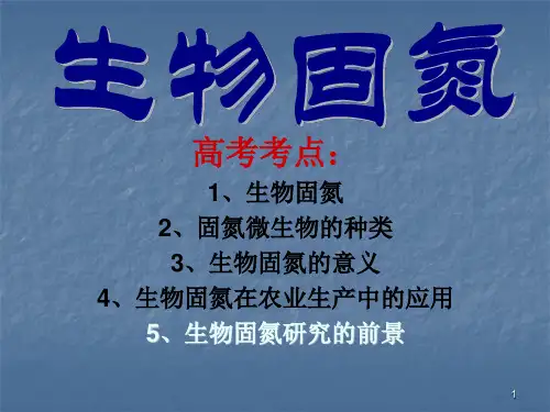 生物固氮ppt课件