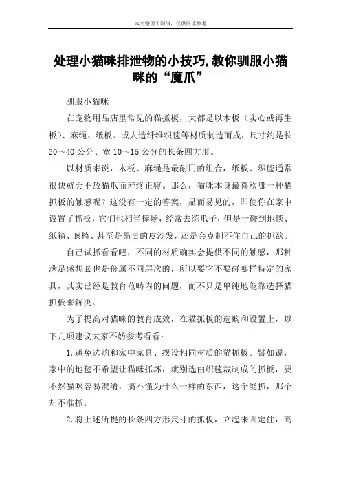 处理小猫咪排泄物的小技巧,教你驯服小猫咪的“魔爪”