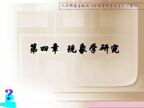 第四章现象学研究PPT课件