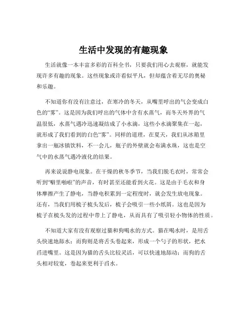 生活中发现的有趣现象