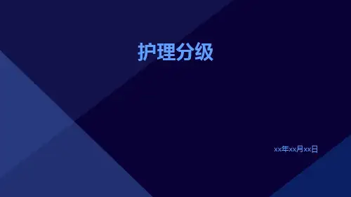 护理分级ppt课件