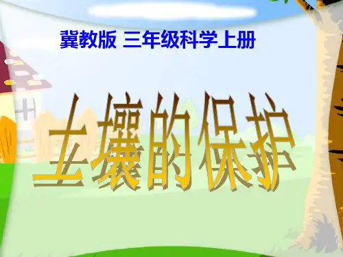 《土壤的保护》ppt课件(4篇)