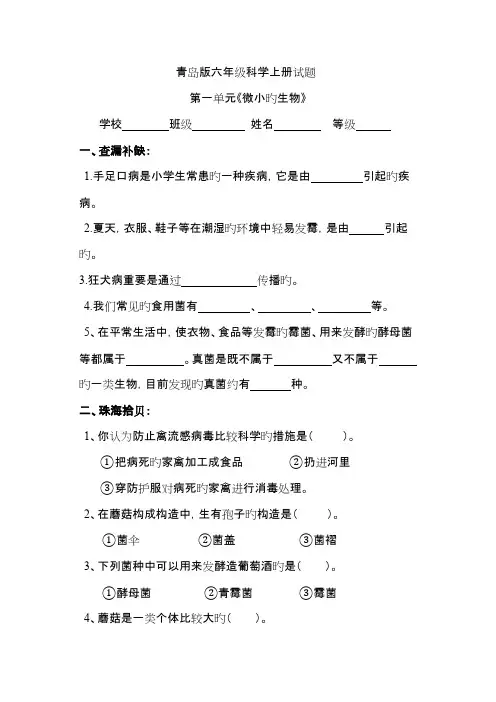 2023年小学六年级上册科学单元试题及答案全册