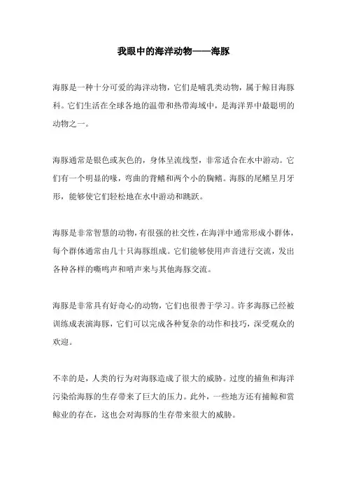 我眼中的海洋动物海豚
