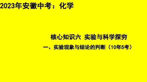 2023年安徽省中考化学专题总复习：实验现象与结论的判断