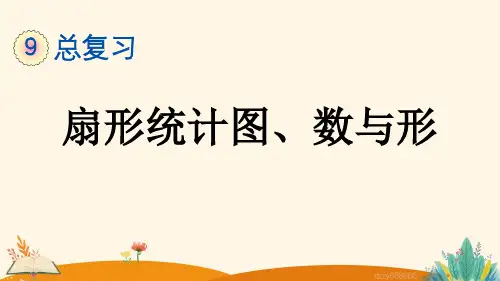 总复习 9.5 扇形统计图、数与形——2025学年六年级上册数学人教版