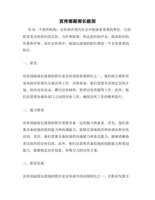 宣传部副部长级别