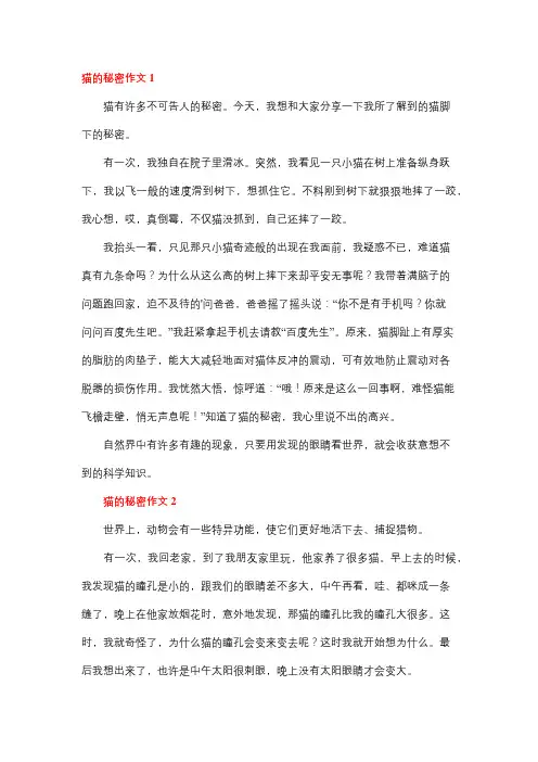 我的发现小猫的秘密600字作文