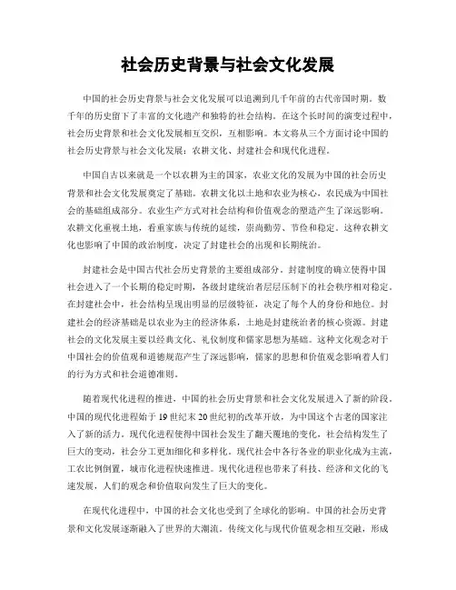 社会历史背景与社会文化发展