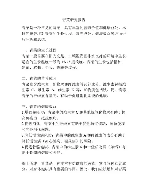 青菜研究报告