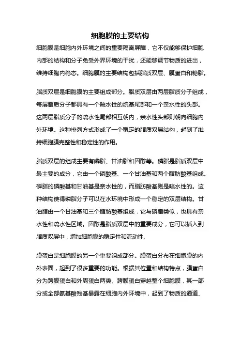 细胞膜的主要结构