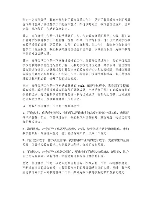 责任督学工作感想