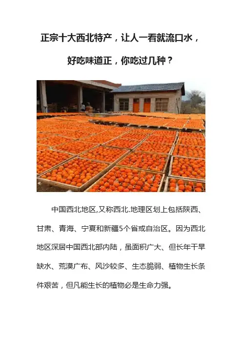 正宗十大西北特产，让人一看就流口水，好吃味道正，你吃过几种？