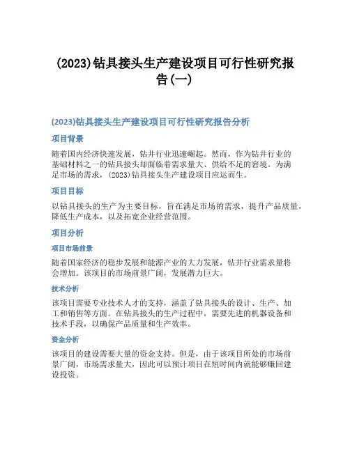 (2023)钻具接头生产建设项目可行性研究报告(一)