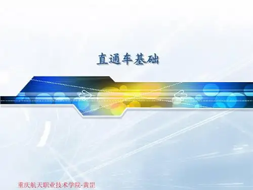 1 直通车概述
