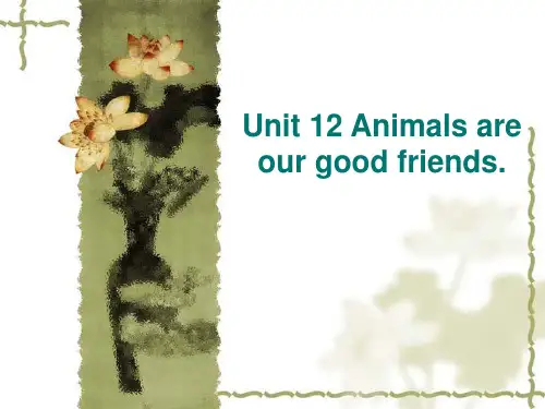 Unit 12 Animals are our good friends