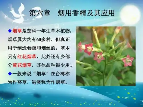 烟用香精及其应用课件