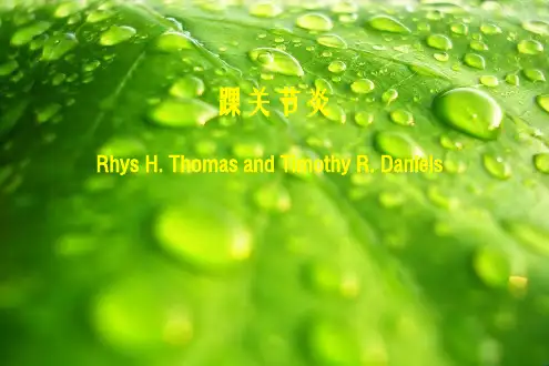 《踝关节炎》幻灯片PPT