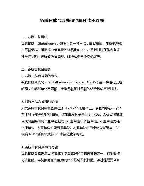 谷胱甘肽合成酶和谷胱甘肽还原酶
