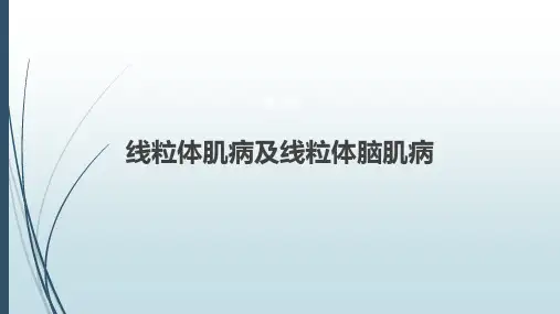 线粒体肌病及线粒体脑肌病