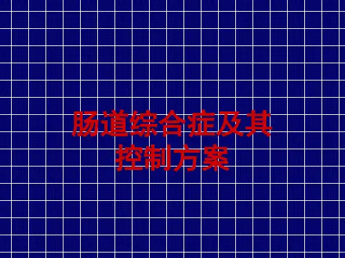 肠道综合症及解决方案