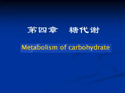生物化学第四章1