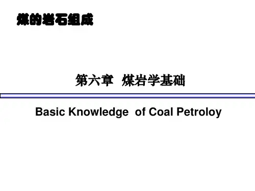 chap 6 煤岩学基础资料