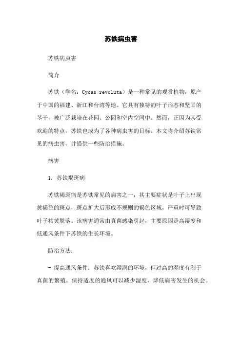 苏铁病虫害