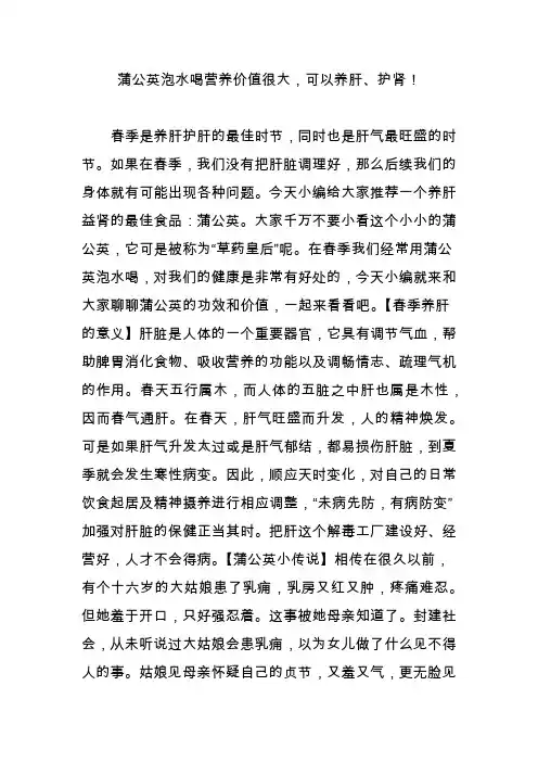 蒲公英泡水喝营养价值很大,可以养肝护肾!