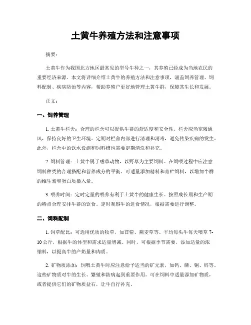 土黄牛养殖方法和注意事项